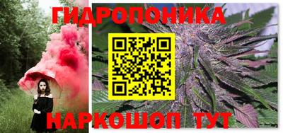 ГАЛЛЮЦИНОГЕННЫЕ ГРИБЫ Обь