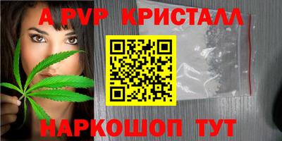 СК Обнинск