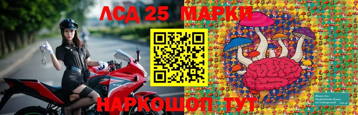 Наркотические марки 1,8мг  где купить наркоту  Новокубанск  Вход с VPN 