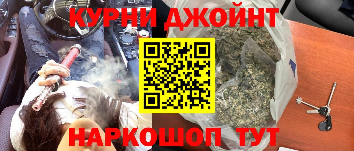 Конопля сатива Новокубанск